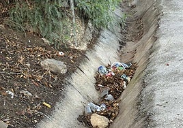 Latas, plásticos y otros desperdicios olvidados desde hace varios meses.