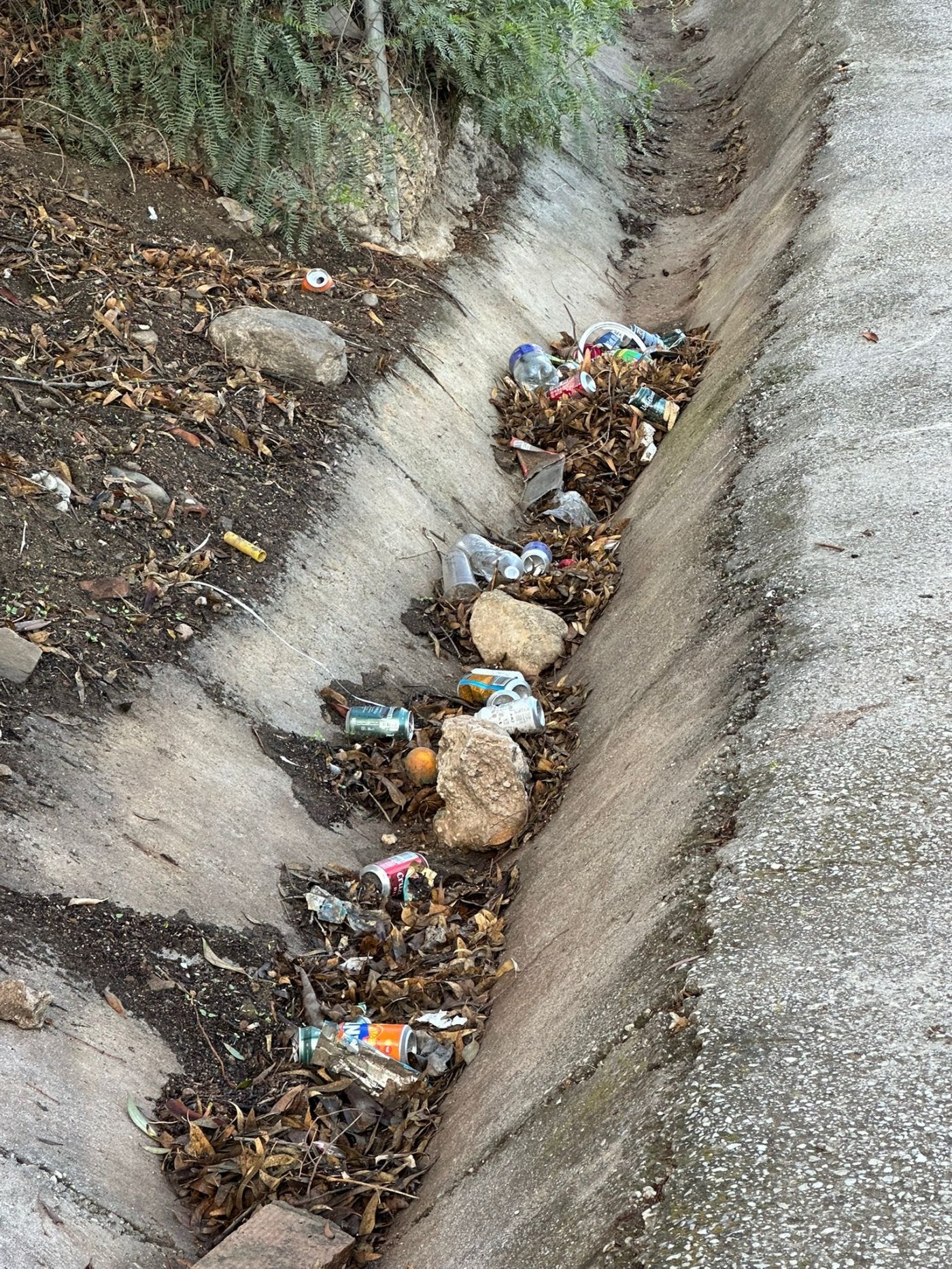 Latas, plásticos y otros desperdicios olvidados desde hace varios meses.