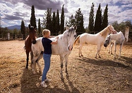 Signe Froslee junto a algunos de los caballos.