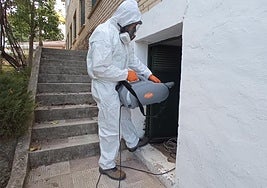 Un operario especializado realiza tareas de desinfección.