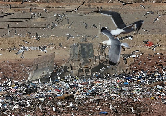 Imagen de archivo del vertedero de Los Ruices.