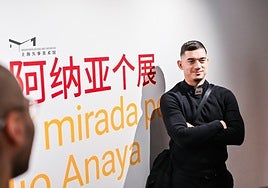 Julio Anaya deja perpleja a China con sus iconos del arte sobre cartones