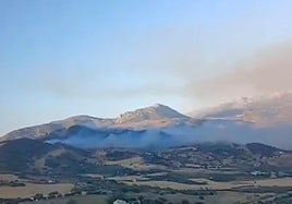 Zona afectada por el incendio.