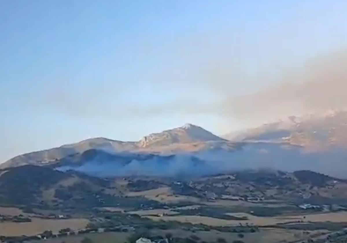 Zona afectada por el incendio.