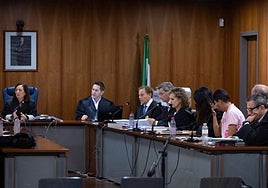 Condenado a 27 años de prisión por asesinar a su madre y ocultar el cadáver en una arqueta de Teatinos