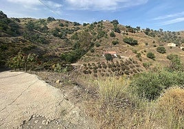 Imagen del entorno rural de Lomas de Cútar en el término municipal de Almáchar, donde ocurrieron los hechos.