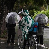 El temporal causa ya más de medio millar de incidencias en toda Andalucía