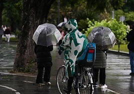 El temporal causa ya más de medio millar de incidencias en toda Andalucía