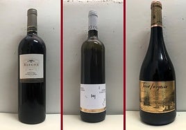 La cata: los vinos recomendados de la tercera semana de noviembre