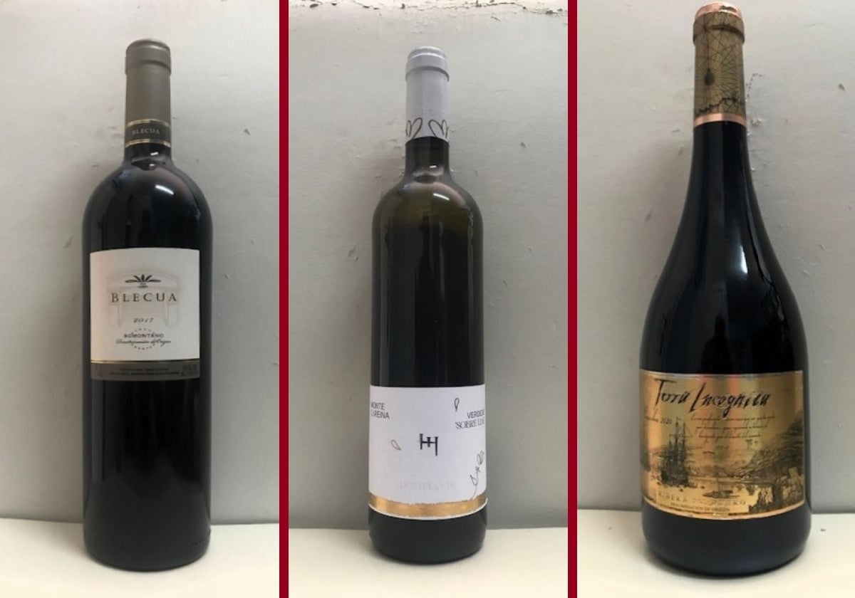 La cata: los vinos recomendados de la tercera semana de noviembre