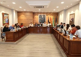 Imagen del pleno extraordinario celebrado este viernes en Torrox.