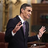 Pedro Sánchez, el pasado miércoles en el Congreso de los diputados.