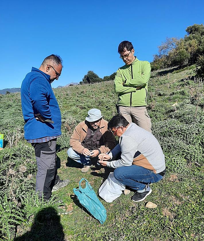 Imagen secundaria 2 - Recreación de la ciudad romana de Lacipo en Casares, tras los últimos descubrimientos. Abajo, miembros de la cooperativa Acaire durante las nuevas prospecciones en el territorio de Lacipo