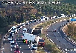 Imagen del camión accidentado, este lunes, en Caleta de Vélez.