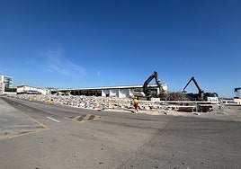 Estado de los trabajos de demolición de la antigua lonja del puerto.