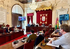 En la comisión de Derechos Sociales, el concejal del área en la bancada de la derecha, Paco Cantos, y a la derecha de esta imagen, los miembros de la oposición.