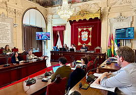El concejal Paco Cantos, en una comisión de Derechos Sociales.
