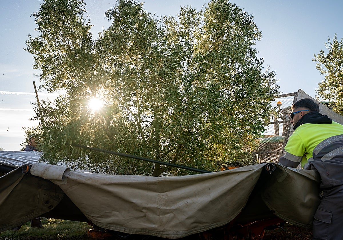 Imagen principal - Más imágenes tomadas durante una jornada de trabajo. 
