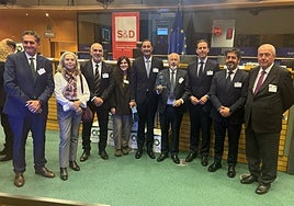 La delegación de Trops desplazada a Bruselas para recoger el galardón europeo.