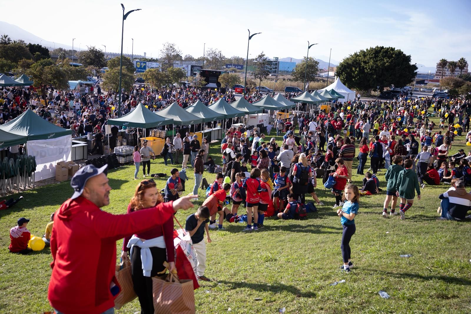 El España-Fiyi de rugby en el Ciudad de Málaga, en imágenes