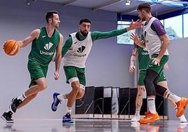 Horarios y cómo ver en televisión los partidos de los internacionales del Unicaja
