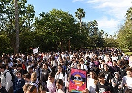 Estudiantes participantes en la marcha con motivo del 25-N.