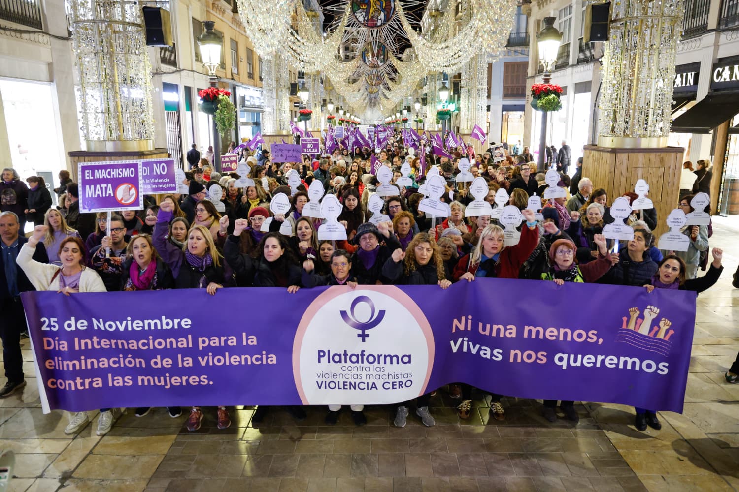 La manifestación del 25N, en Málaga