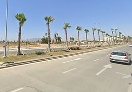 Aspecto de los terrenos, situados junto a la avenida de Imperio Argentina.