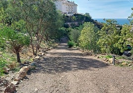 Rincón de la Victoria organiza el curso 'Jardinería y restauración de paisajes' para personas desempleadas