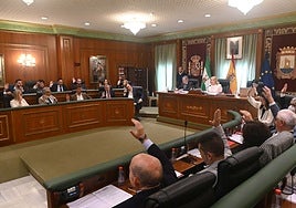 Las propuestas para las nuevas denominaciones de espacios públicos han salido adelante por unanimidad.