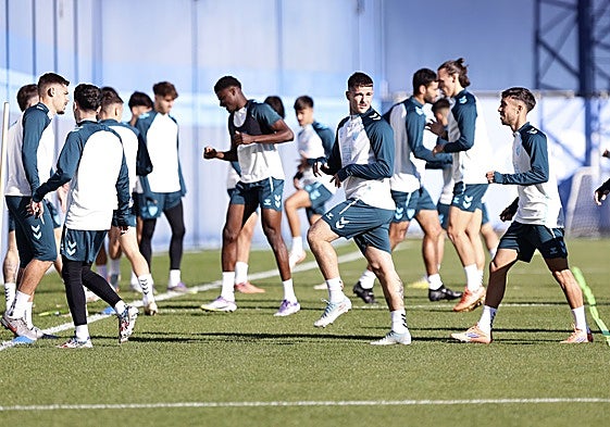 Los jugadores del Málaga se entrenan en el Anexo de La Rosaleda esta semana.