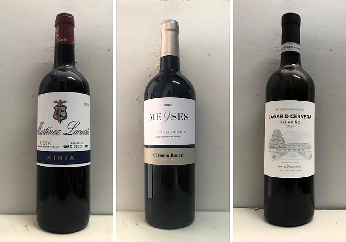 La cata: los vinos recomendados de la última semana de noviembre