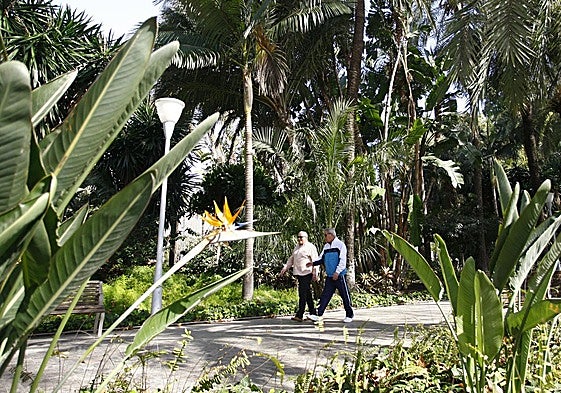 Los parques están incluidos dentro de las zonas de confort climático.