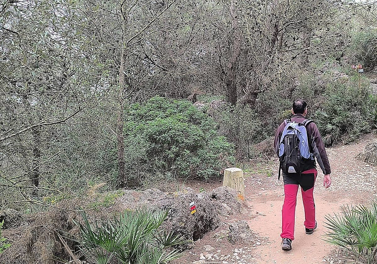 Rescatada una persona atrapada en el Pico Jabalcuza en Alhaurín de la Torre