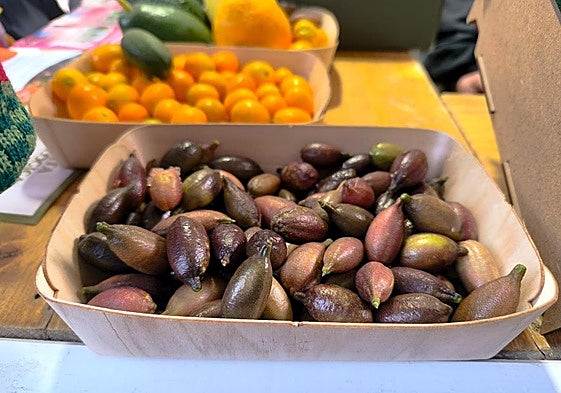 Productos novedosos y originales que se pueden comprar en la Gran Feria Sabor a Málaga: desde cerveza con espirulina hasta turrón de queso