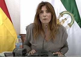 La alcaldesa de Mijas, Ana Mata, interviniendo en el pleno del Ayuntamiento.