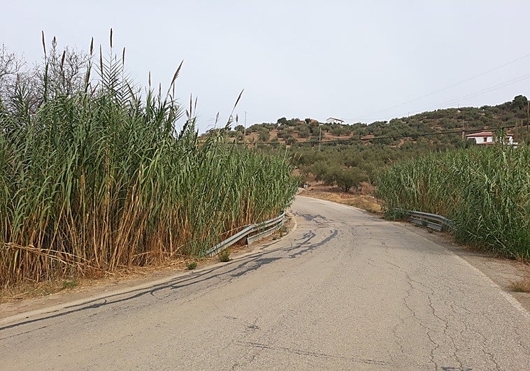La Diputación completa la mejora de la carretera MA-3107 con nuevas obras entre Benamargosa y Riogordo