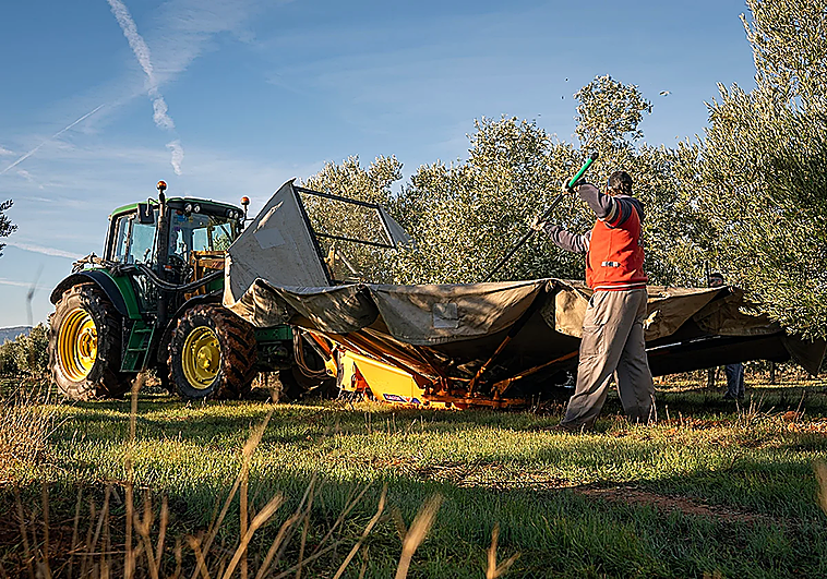 Andalucía es líder nacional en producción, empleo y exportación agrarios