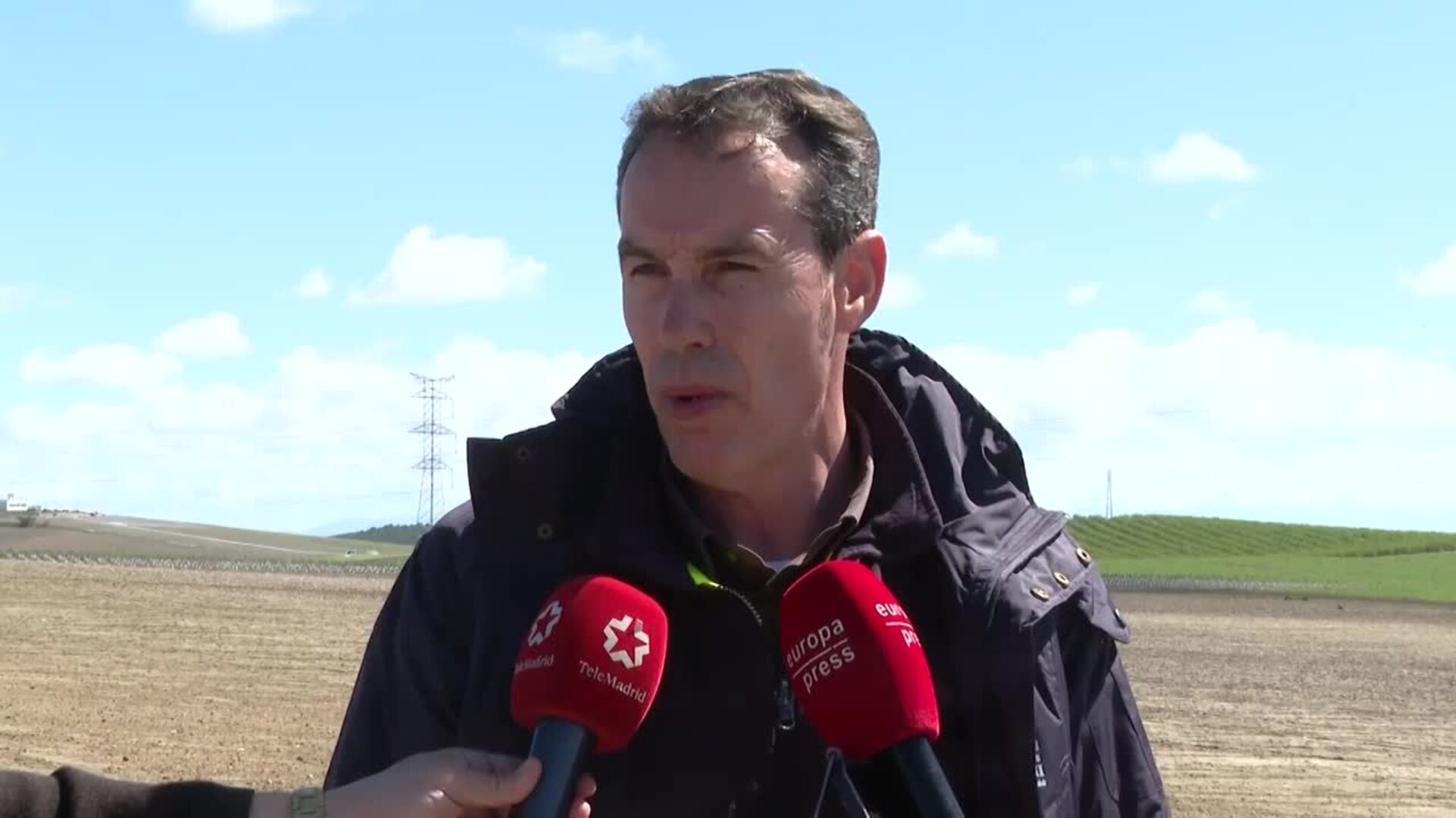 Agricultores andaluces lamentan la pérdida de cultivos tras las intensas lluvias
