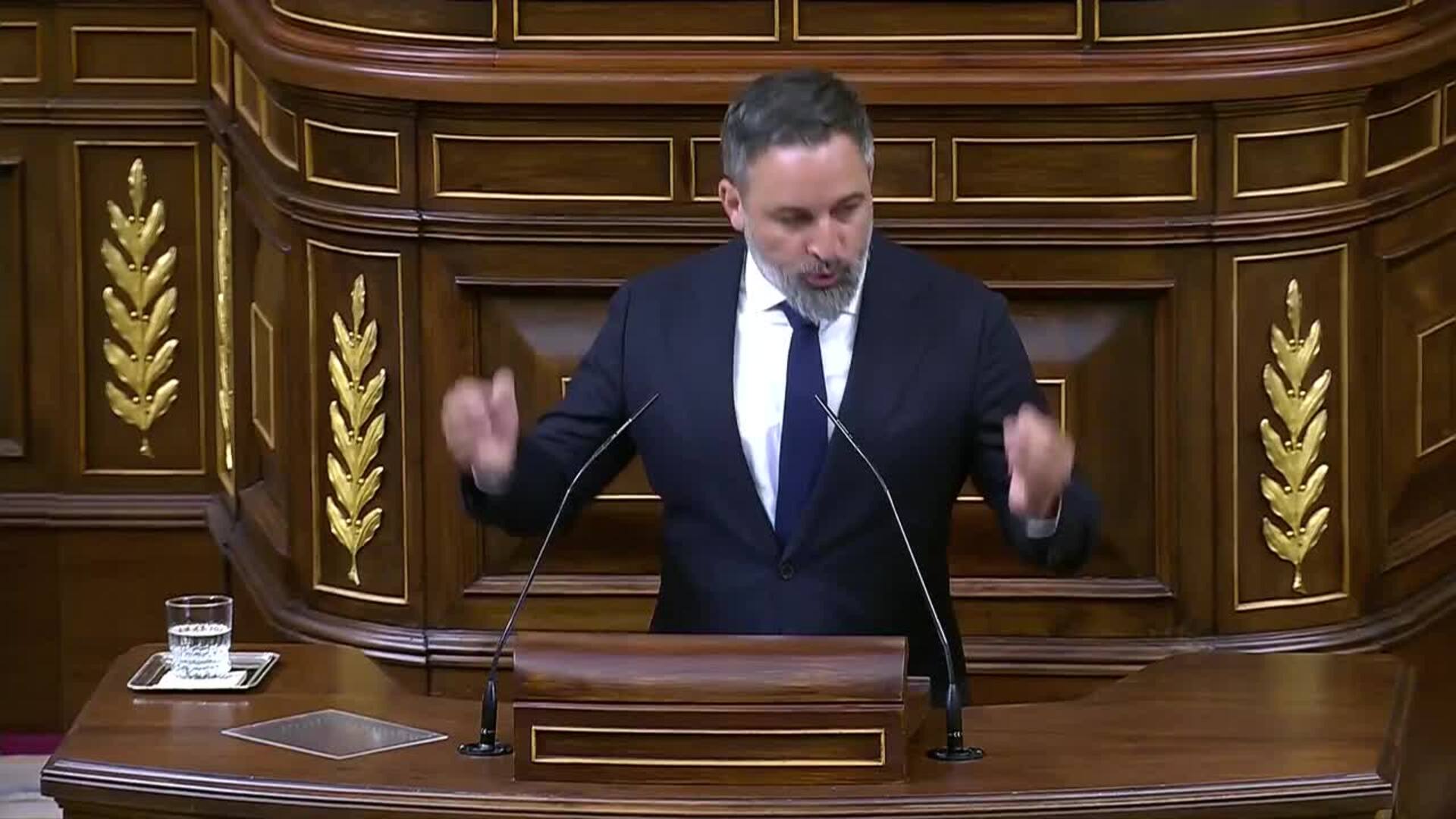Abascal cree que Sánchez fomenta la agenda internacional buscando "impunidad" para su entorno