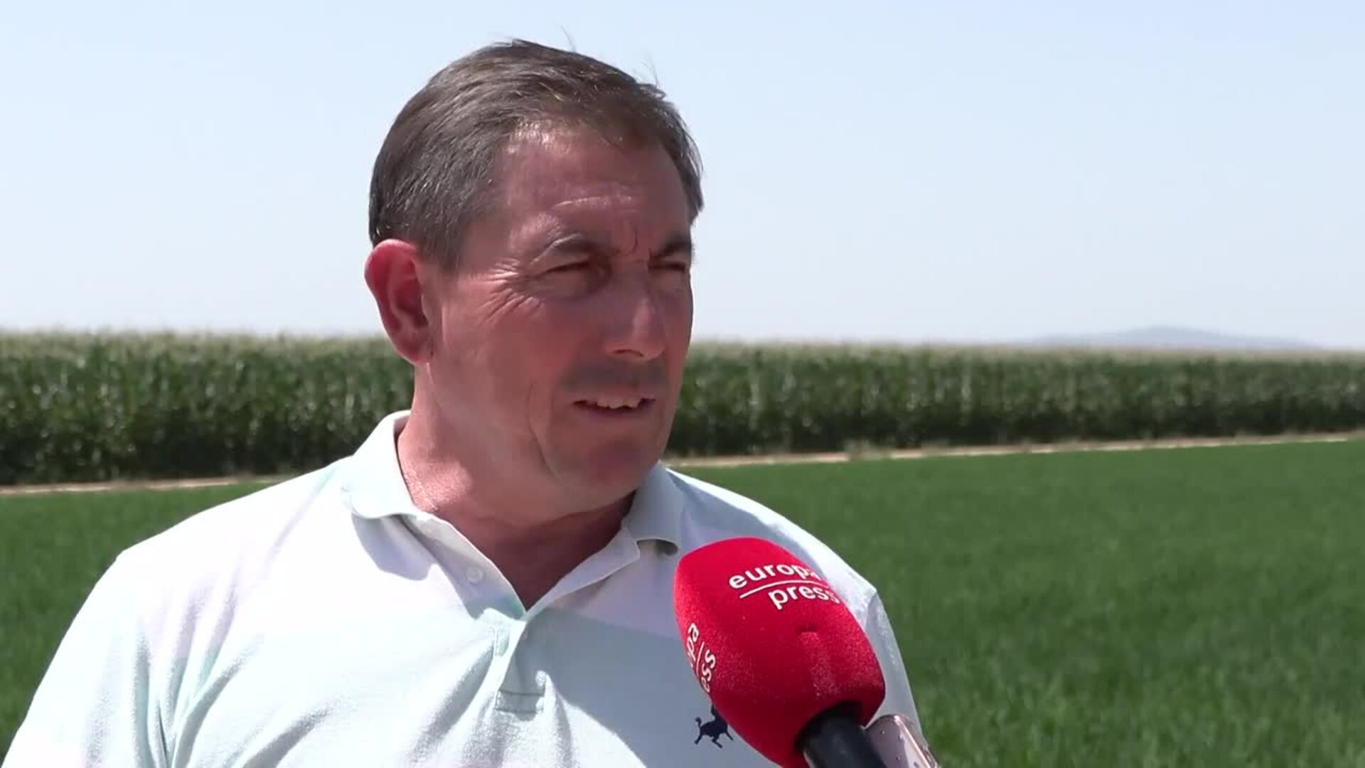 Agriga advierte de que "se avecina una catástrofe" para el cultivo del arroz en Extremadura