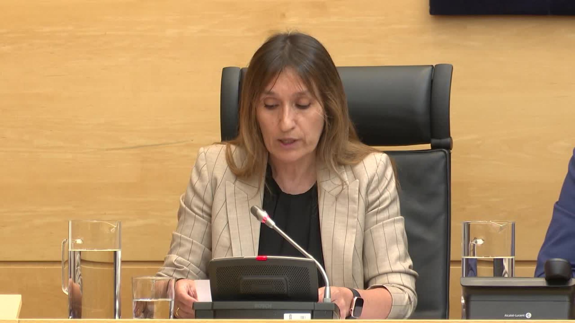 Lucas apunta a un defecto formal en la carrera profesional por falta de informe de género