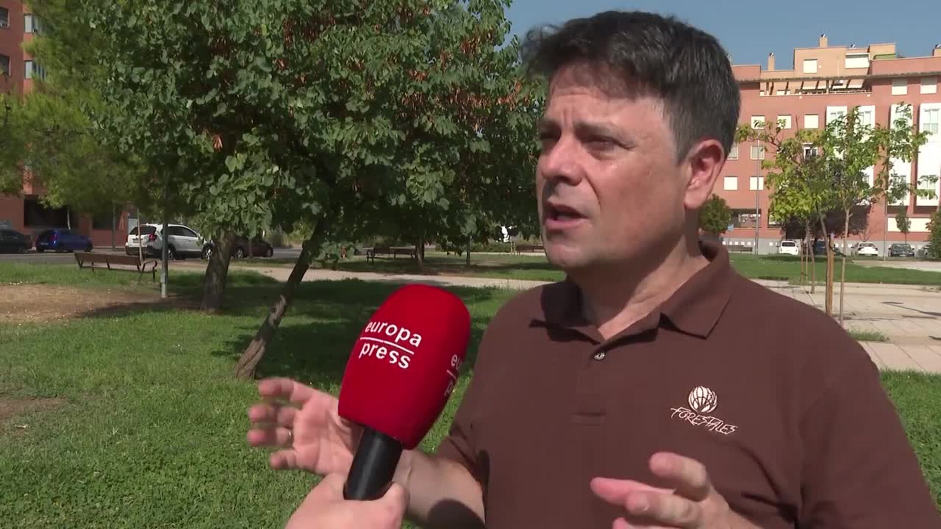 Ingenieros forestales advierten de que simultaneidad de incendios complica su extinción