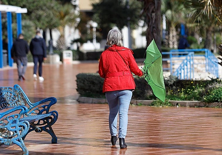 Aemet activa avisos en Málaga y otras cuatro provincias andaluzas para este domingo