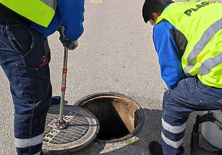 Cártama intensifica el control de plagas tras las últimas lluvias
