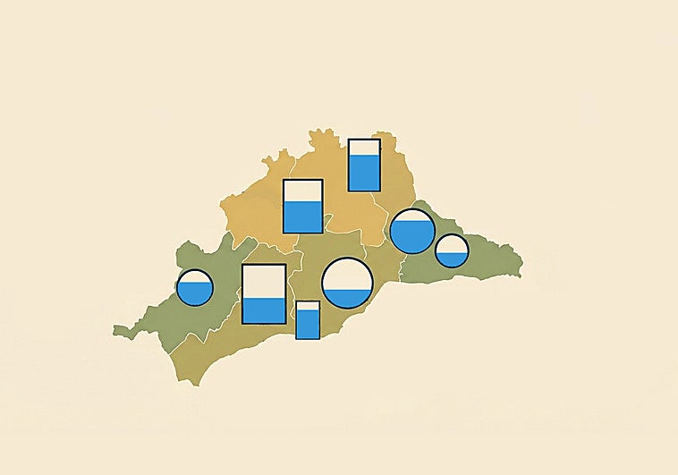 Estado de los embalses de Málaga el lunes, 02 de marzo de 2026