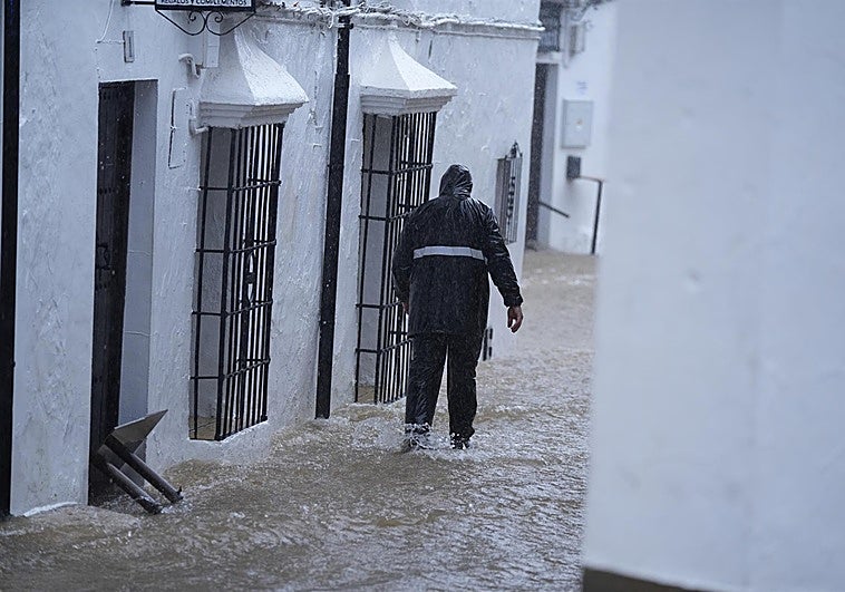 Las oficinas de ayudas del Gobierno tramitan ya 210 expedientes por los daños del tren de borrascas en Andalucía