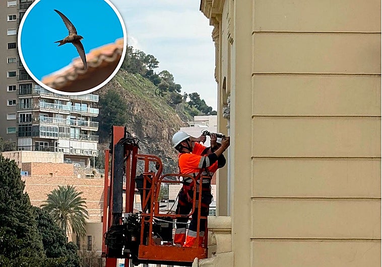 Sorry! Image not available at this time