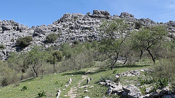 La ruta de la Serranía de Ronda que recuerda al Torcal que ya no se puede completar