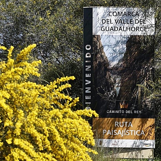 El tren de borrascas del invierno deja una floración espectacular en Málaga